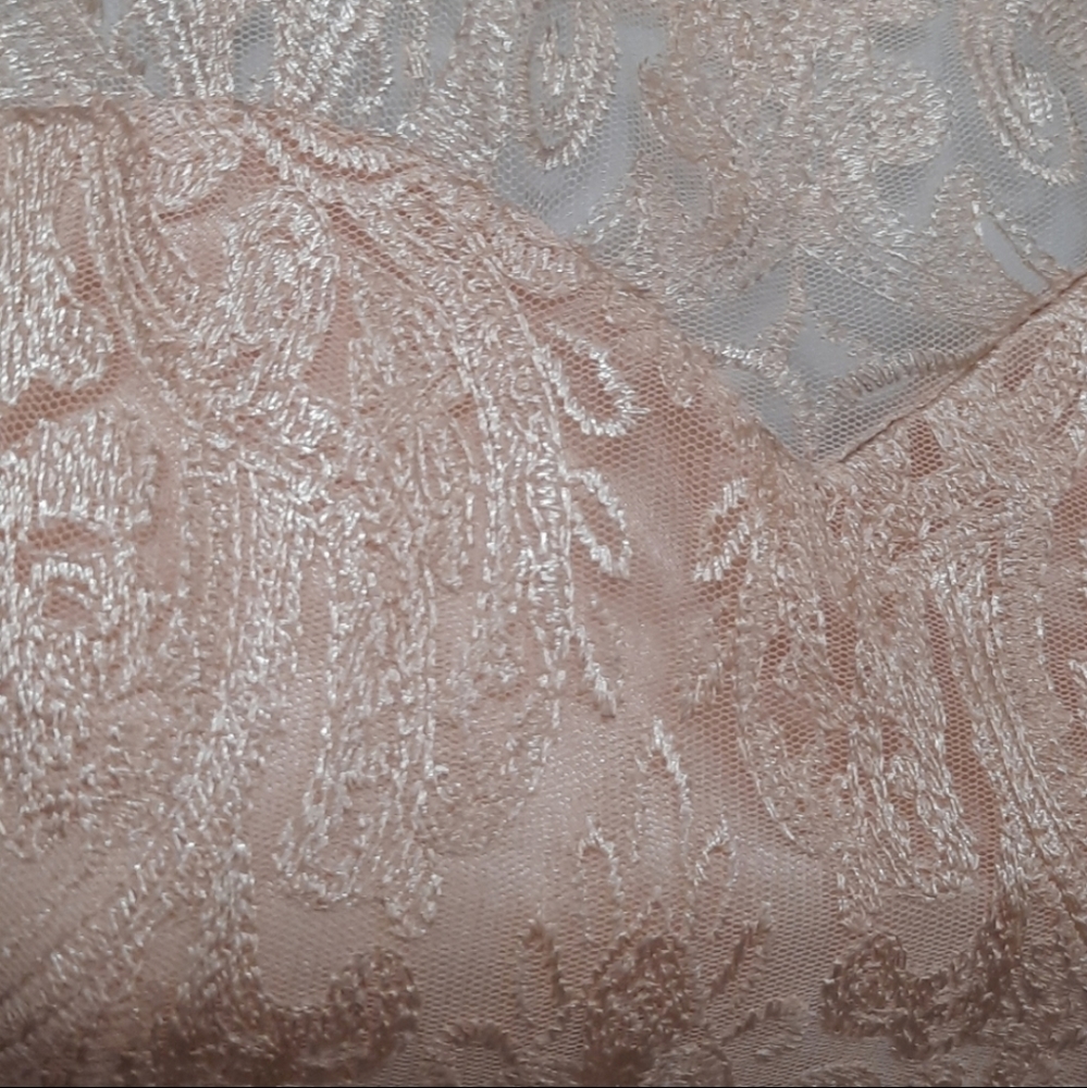 Rare Editions Pink Embroidered Lace Dress - Picture 2 of 10